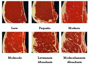 Carnes